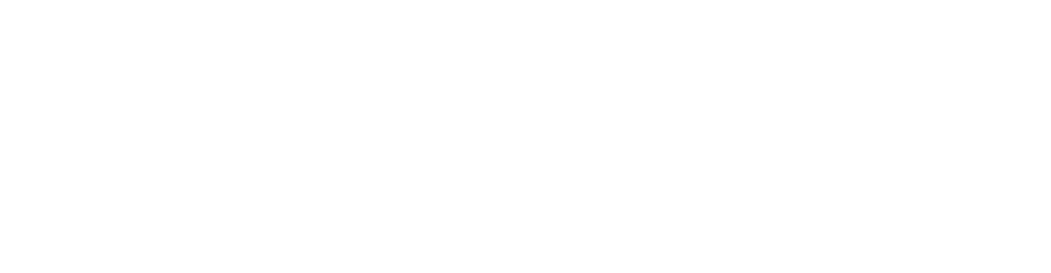 BetMarkets white logo